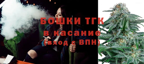 крисы Верхний Тагил