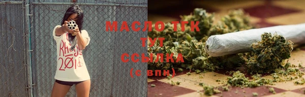 крисы Верхний Тагил